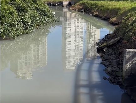 rio das oliveiras Visor Notícias