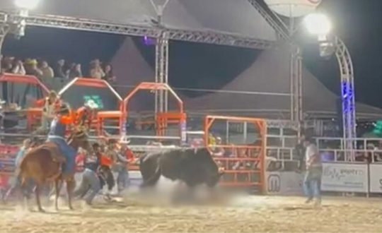 touro rodeio Visor Notícias