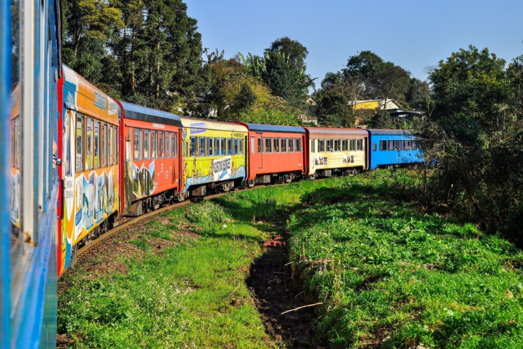Imagem de vagões coloridos passando em trilho de trem em meio a natureza 