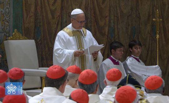 vaticanewspapavisor Visor Notícias